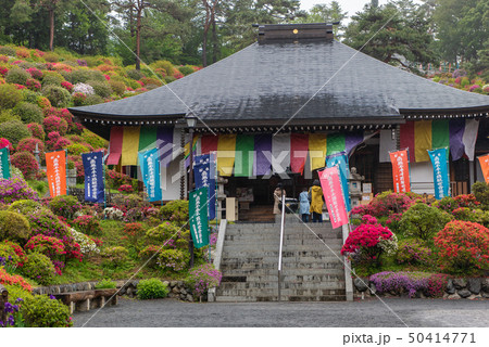 塩船観音つつじまつり　本堂 50414771