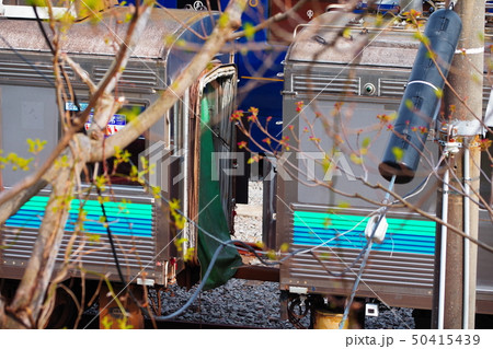 伊豆高原駅の8000系電車 伊豆高原駅の8000系電車 50415439