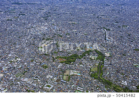 郊外の住宅地/善福寺川緑地と杉並区 郊外の住宅地/善福寺川緑地と杉並区 50415482