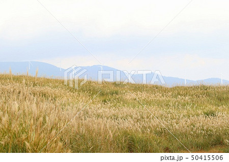 すすき原 すすき原 50415506