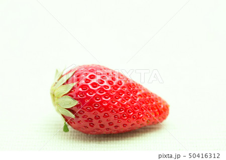 イチゴ　とちおとめ 50416312
