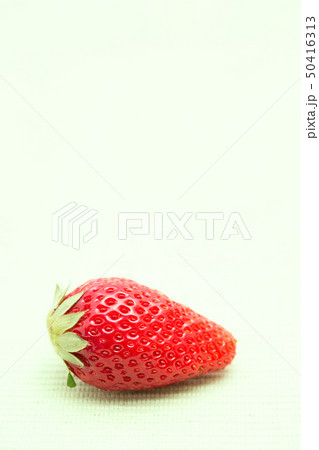 イチゴ　とちおとめ 50416313