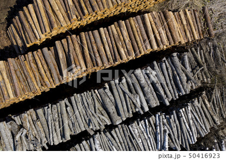 山積みの木材 50416923