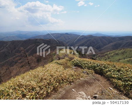 大川入山山頂付近の風景 大川入山山頂付近の風景 50417130