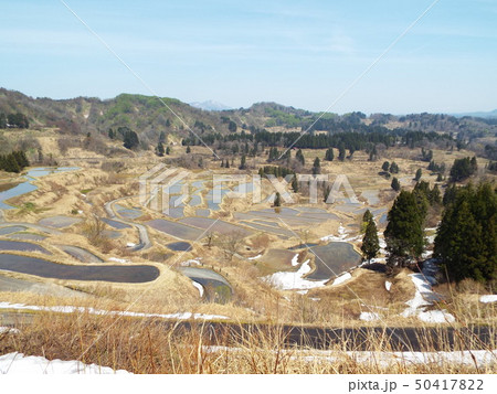 星峠の棚田 50417822