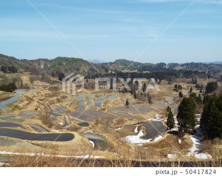 星峠の棚田 50417824