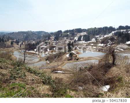 星峠の棚田 50417830