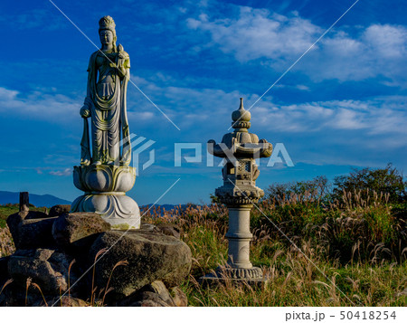 【静岡県伊豆半島】西伊豆スカイライン沿いの風景【秋】 50418254