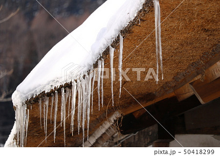 雪の景色 雪の景色 50418299