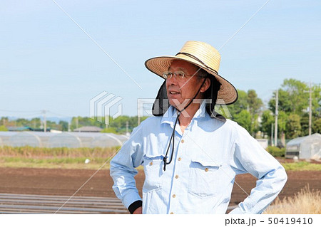 畑仕事をするシニア男性 50419410