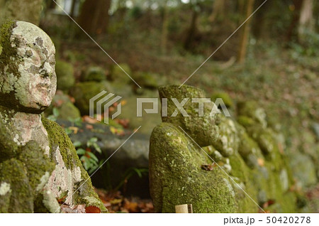 富貴寺の秋 50420278