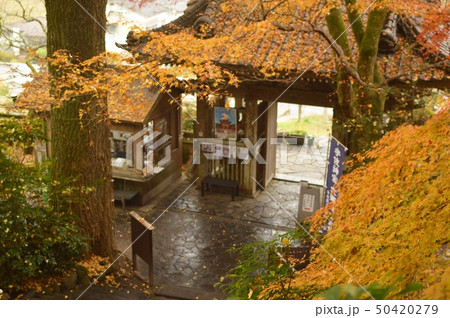 富貴寺の秋 富貴寺の秋 50420279