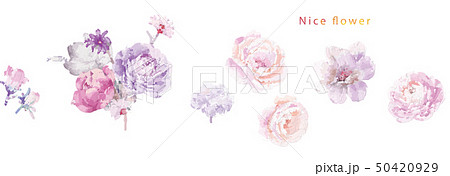 花 フラワー お花 50420929