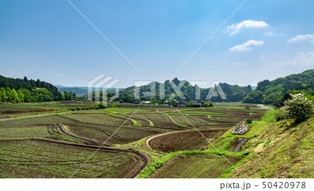 田染荘の風景 50420978