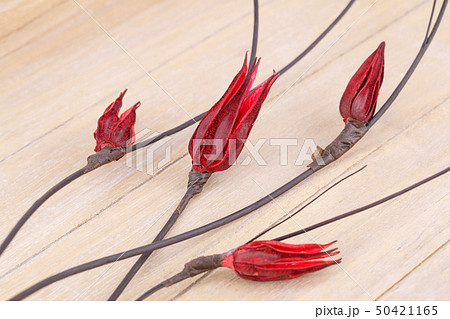 Dried flowers 50421165