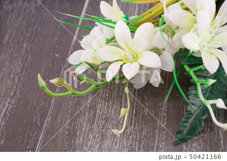 Flowers 50421166