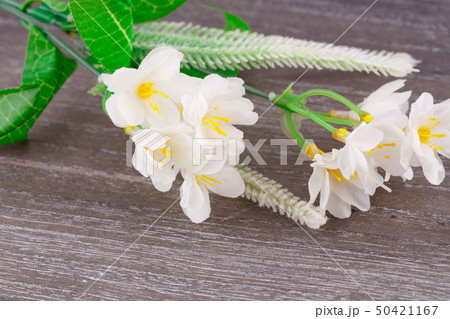 Flowers Flowers 50421167