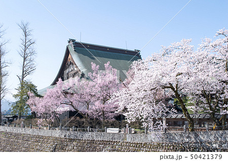 岐阜県　飛騨市古川　真宗寺　映画　君の名は　聖地巡礼 50421379