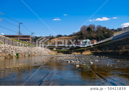 聖蹟桜ヶ丘 大栗川 50421839