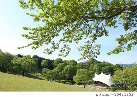 笠間芸術の森公園　茨城県笠間市 50421852
