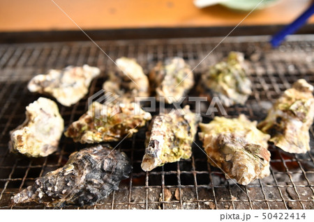 カキ焼き 50422414