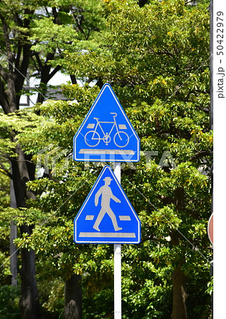 道路標識 横断歩道と自転車横断帯の写真素材 [50422979] - PIXTA