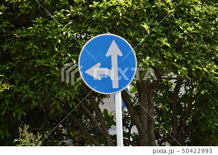 道路標識 指定方向外進行禁止 道路標識 指定方向外進行禁止 50422993