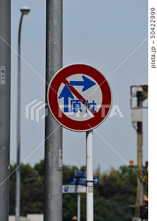 道路標識　原動機付自転車 50422999