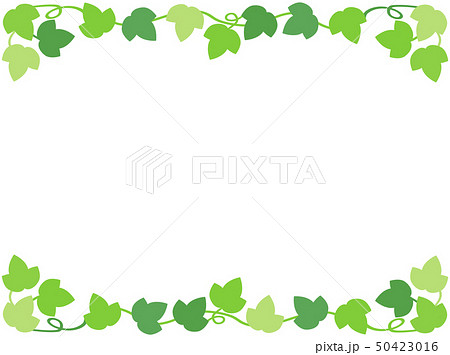 つた10 のイラスト素材