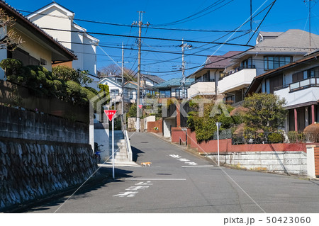多摩市 桜ケ丘（聖蹟桜ヶ丘） 住宅街 50423060