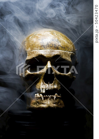 Close up of skull on black background around the 50423470