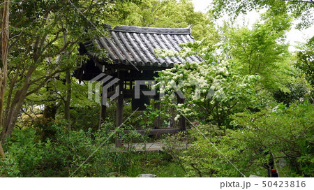浄瑠璃寺の鐘楼 浄瑠璃寺の鐘楼 50423816