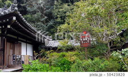 浄瑠璃寺の九体阿弥陀堂入口 浄瑠璃寺の九体阿弥陀堂入口 50423820