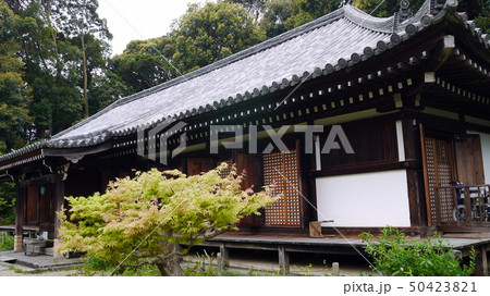 浄瑠璃寺の国宝九体阿弥陀堂 浄瑠璃寺の国宝九体阿弥陀堂 50423821