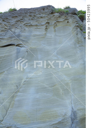 伊豆半島ジオパーク、恵比須島の水底土石流の痕跡、静岡県下田市須崎にて 伊豆半島ジオパーク、恵比須島の水底土石流の痕跡、静岡県下田市須崎にて 50423995