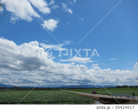 夏の田舎道 夏の田舎道 50424017