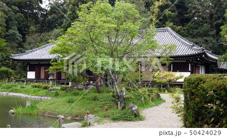 浄瑠璃寺の国宝九体阿弥陀堂 50424029