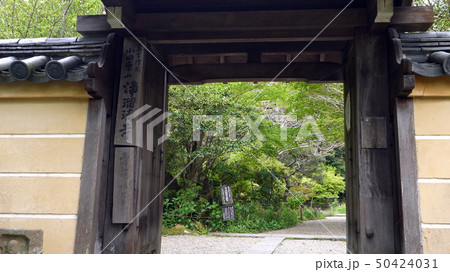浄瑠璃寺の山門から 浄瑠璃寺の山門から 50424031