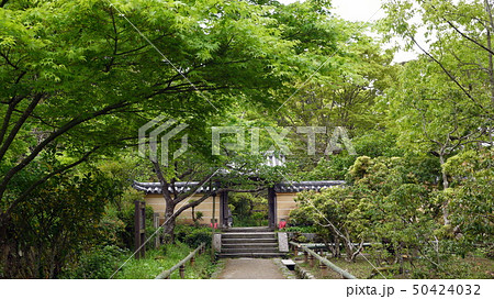 浄瑠璃寺の参道から山門を新緑の青紅葉の下をくぐって 50424032