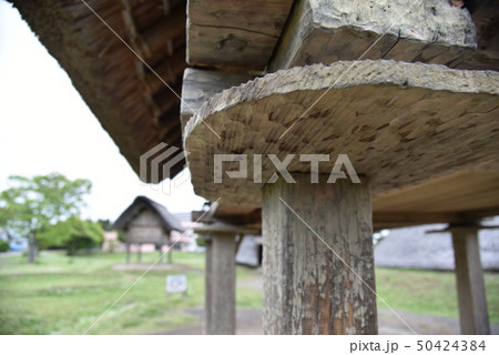 ネズミ返し 50424384