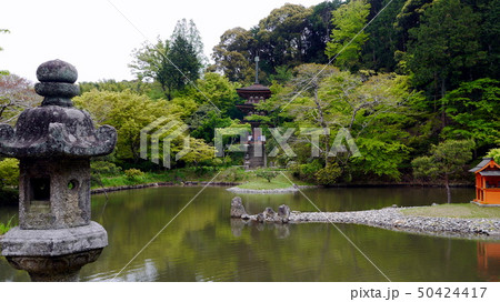 浄瑠璃寺の国宝三重塔と新緑の青紅葉と極楽浄土の宝池 50424417