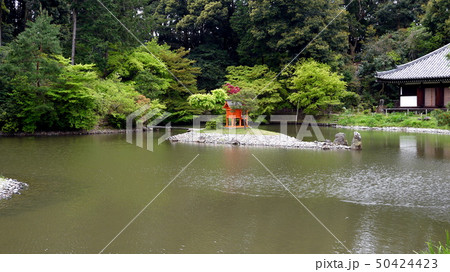 浄瑠璃寺の極楽浄土の宝池 50424423