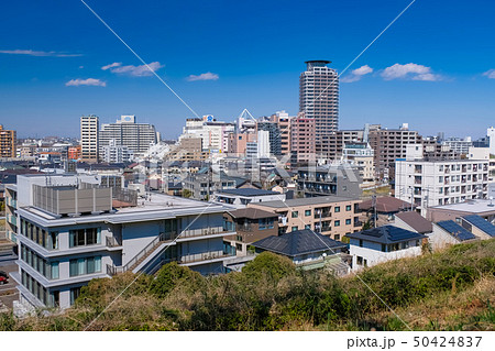 聖蹟桜ヶ丘 街並み（いろは坂桜公園から） 50424837