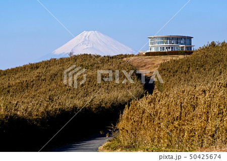 【静岡県・伊豆・箱根】十国峠から見る富士山 【静岡県・伊豆・箱根】十国峠から見る富士山 50425674