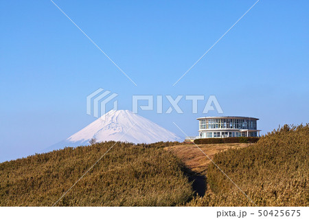 【静岡県・伊豆・箱根】十国峠から見る富士山 50425675