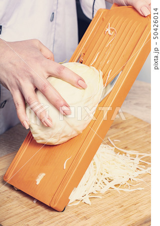 sliced cabbage on shredder 50426014