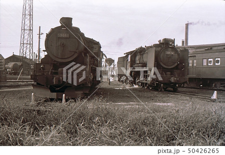 昭和44年 坂町機関区 米坂線の蒸気機関車9600 昭和44年 坂町機関区 米坂線の蒸気機関車9600 50426265