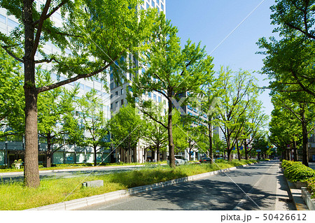 新緑の大阪御堂筋 50426612