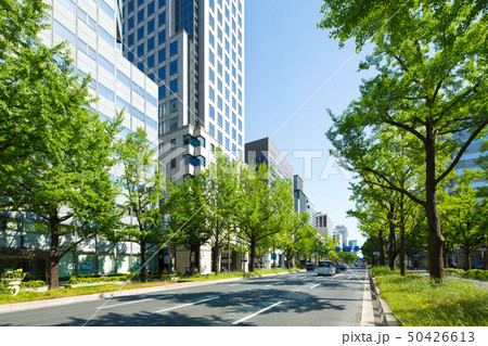新緑の大阪御堂筋 新緑の大阪御堂筋 50426613
