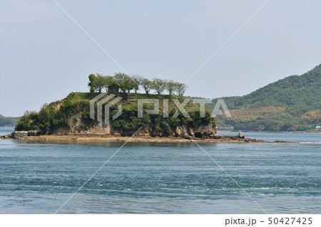 村上水軍・能島・四月・新緑・快晴・青空 村上水軍・能島・四月・新緑・快晴・青空 50427425